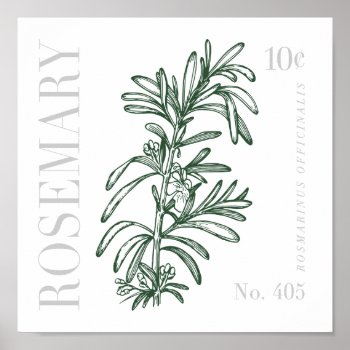 Vintage Rosemary Poster by TheKPlace at Zazzle