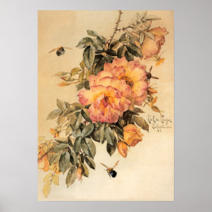 Vintage Roses and Bumblebees Poster
