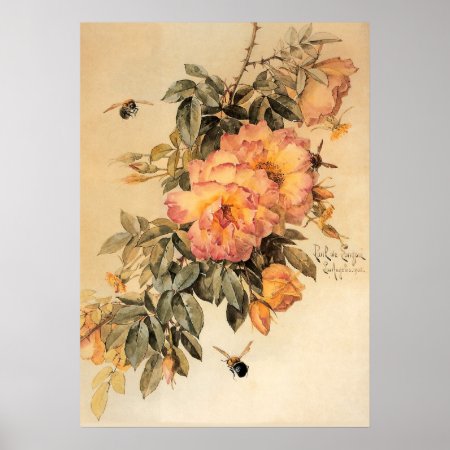 Vintage Roses And Bumblebees Poster
