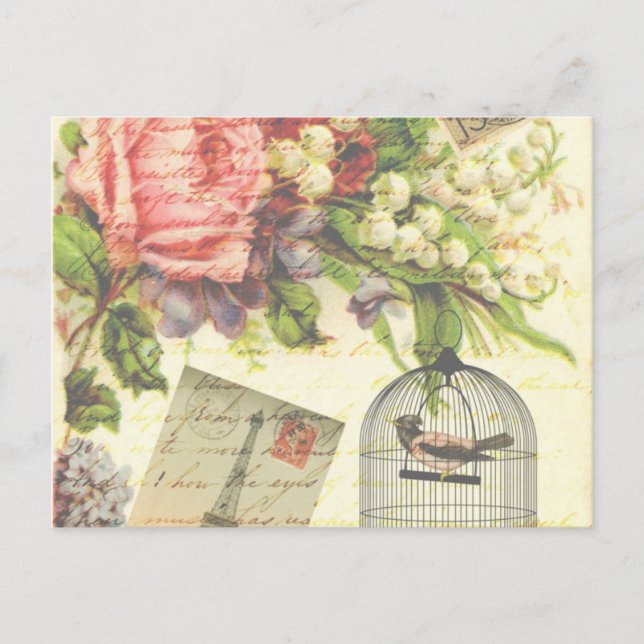Vintage Roses and Caged Bird Postcard (Front)