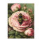 Vintage Roses and Queen Bee
