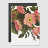 Vintage Roses Beautiful Pink Botanical (Front/Back)