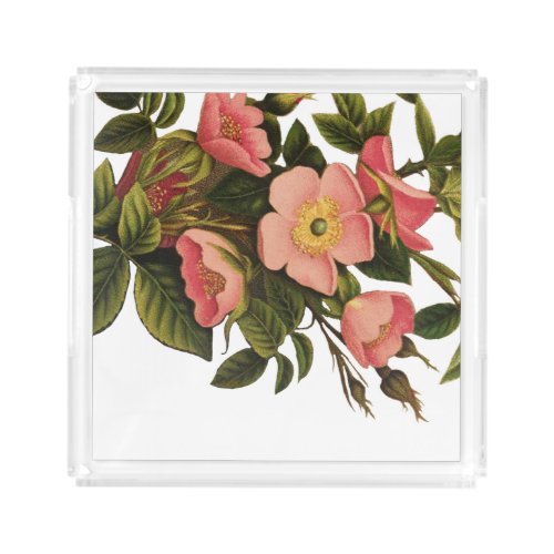 Vintage Roses Beautiful Pink Botanical Acrylic Tray