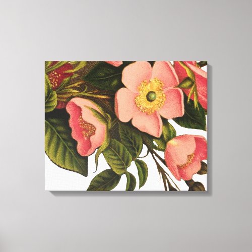 Vintage Roses Beautiful Pink Botanical Canvas Print