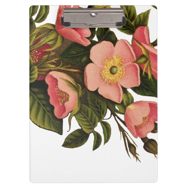 Vintage Roses Beautiful Pink Botanical Clipboard (Front)