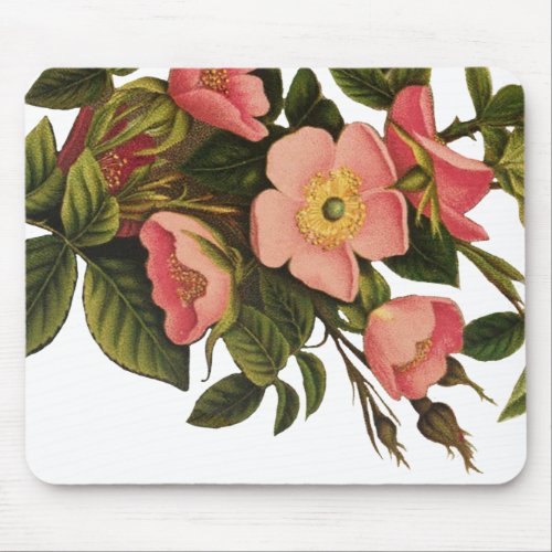 Vintage Roses Beautiful Pink Botanical Mouse Pad