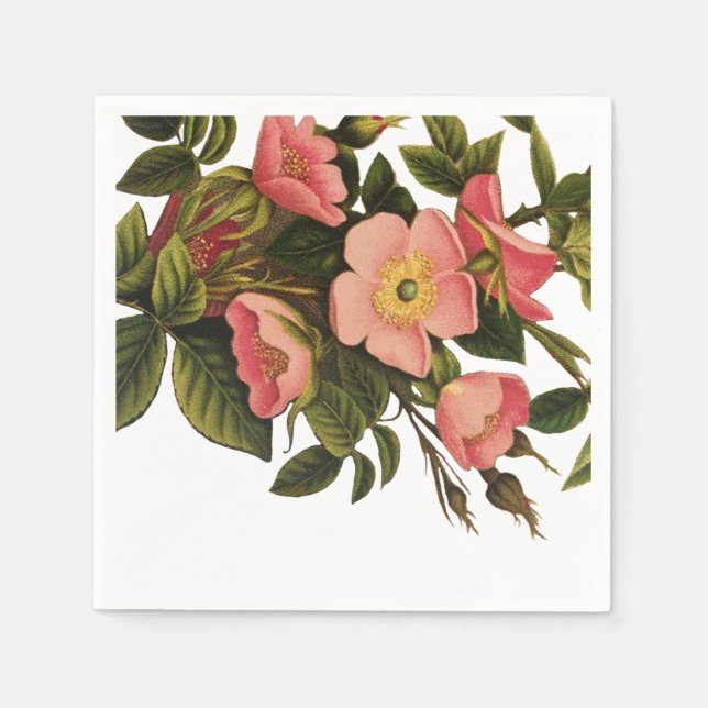 Vintage Roses Beautiful Pink Botanical Napkins (Front)