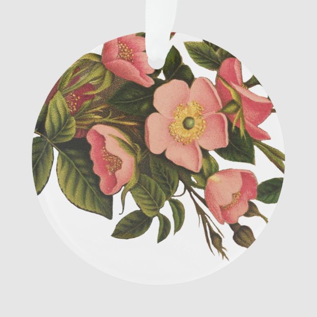 Vintage Roses Beautiful Pink Botanical Ornament (Front)