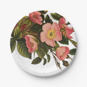 Vintage Roses Beautiful Pink Botanical Paper Plates