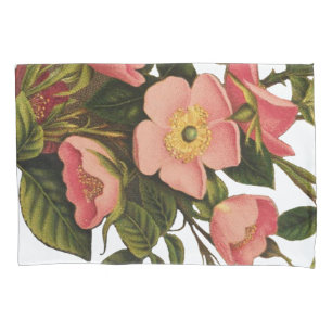 Vintage Roses Beautiful Pink Botanical Pillowcase