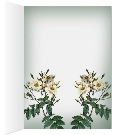 Vintage roses blank note card (Inside (Right))