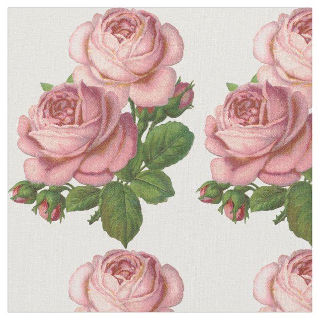 Vintage Roses Fabric (Close Up)