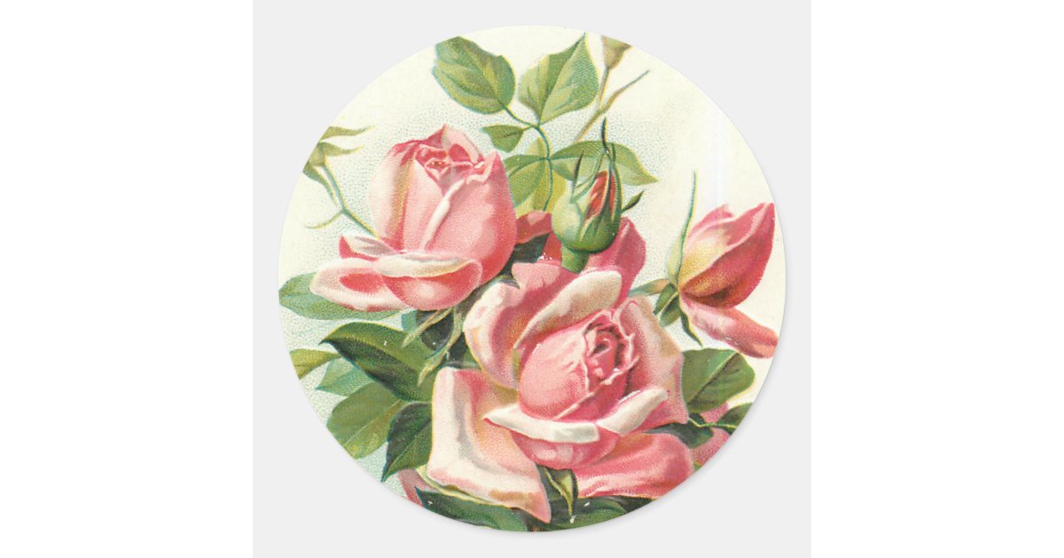 vintage roses in pink stickers Zazzle