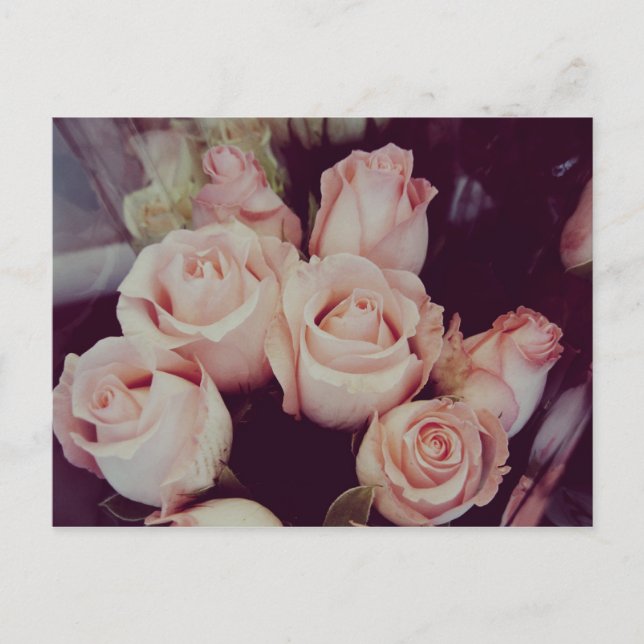 Vintage Roses IV Postcard (Front)