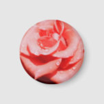 Vintage Roses Magnet<br><div class="desc">Vintage Roses. Design is available on other products.</div>