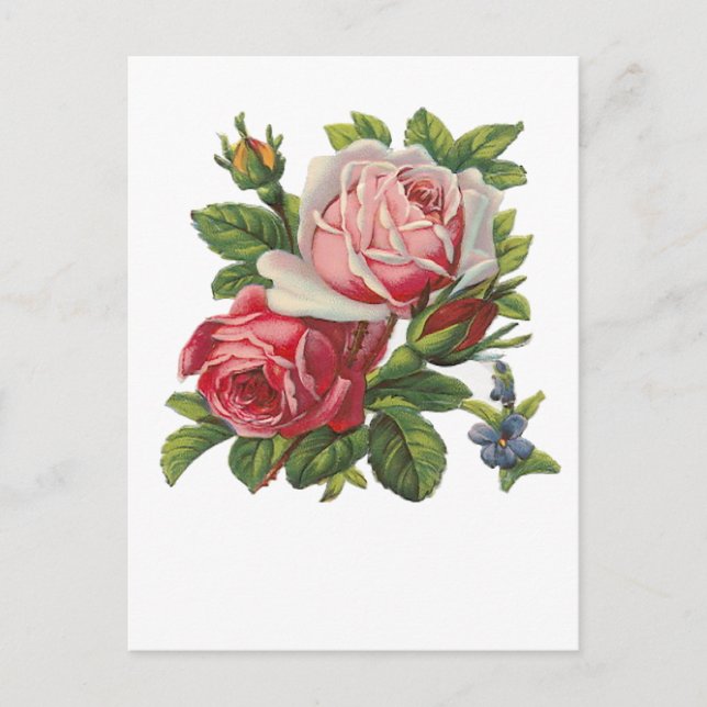 VINTAGE ROSES POSTCARD (Front)