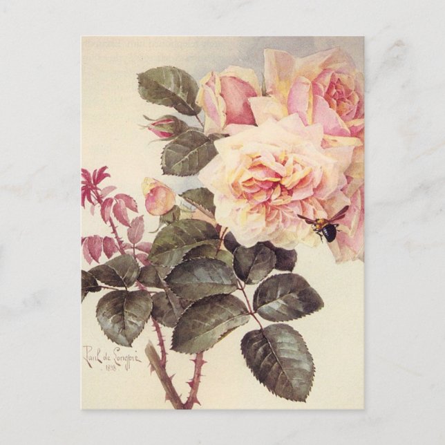 Vintage Roses Postcard (Front)
