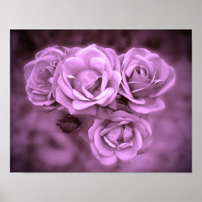 Vintage Roses Purple Poster (Front)