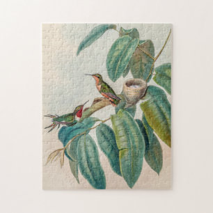 Vintage Rufous-shafted Woodstar Hummingbirds Jigsaw Puzzle