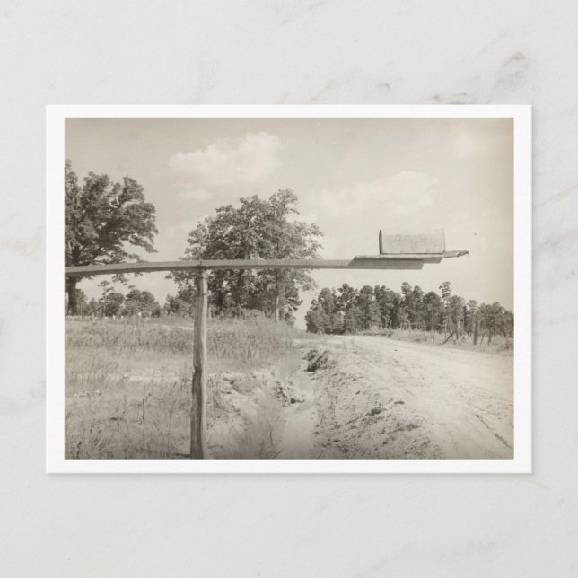 Vintage rural mailbox in 1930s Mississippi photo Postcard (Front)