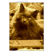 Vintage Russian Blue Cat (Front)