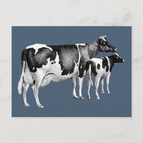 Vintage Rustic Farm Cow Calf Drawing Blue White Postcard