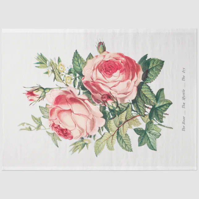 Rustic Roses Paper Vintage Rustic Floral Roses Flowers Decoupaging Tissue Paper | Zazzle