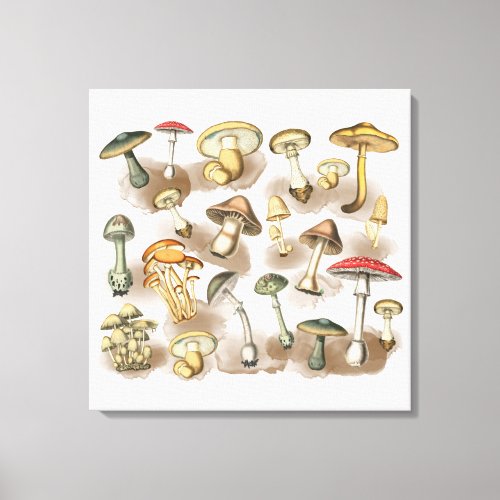 Vintage Rustic Forest Mushrooms Canvas Print