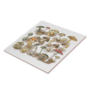 Vintage Rustic Forest Mushrooms Ceramic Tile
