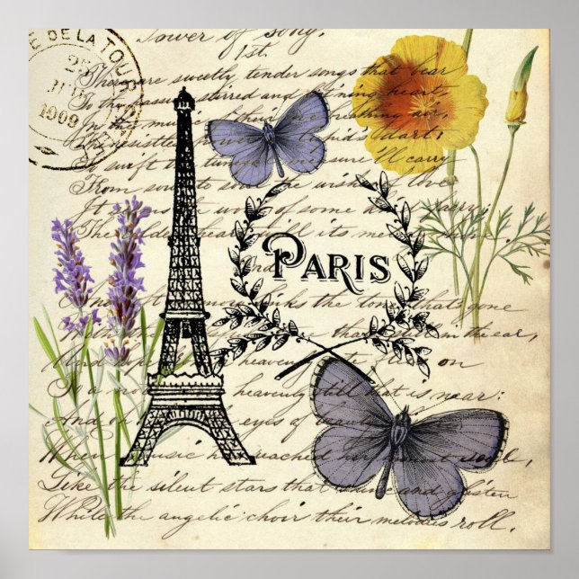 vintage rustic french butterfly paris eiffel tower poster (Front)