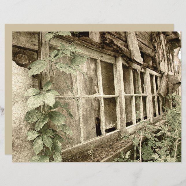 Vintage Rustic Old Wood Barn Windows (Front/Back)