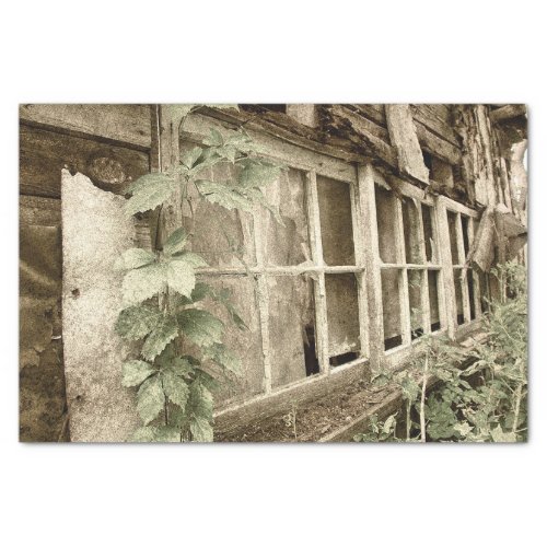 Vintage Rustic Old Wood Barn Windows Tissue Paper