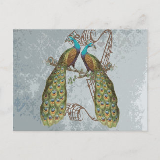 Vintage Rustic Peacock Gray Distressed Lace Damask Postcard