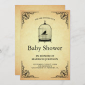 Vintage Rustic Shabby Chic Birdcage Baby Shower Invitation (Front/Back)