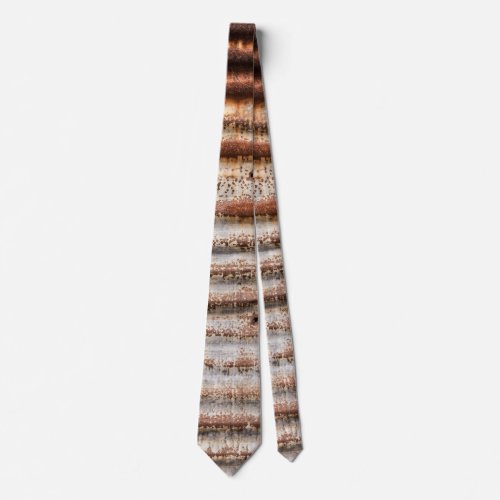 Vintage Rusty Metal Neck Tie