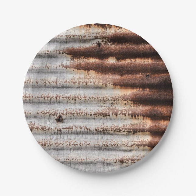 Vintage Rusty Metal Paper Plates (Front)