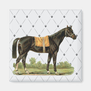 Vintage Saddle Horse Magnet