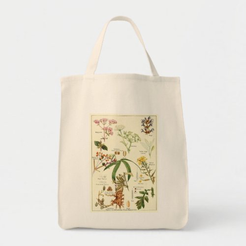 Vintage sage illustration groceries tote bag