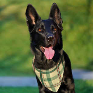 Vintage Sage Red Plaid Aesthetic Pet Bandana Collar