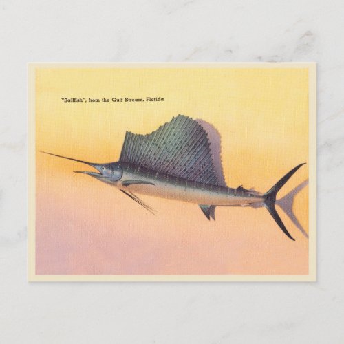 Vintage Sailfish image gulf stream Florida Postcard