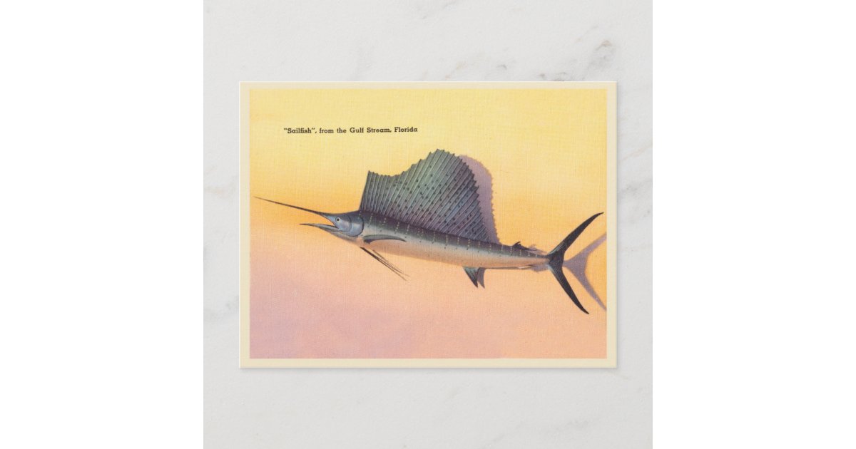 Florida Deep Sea Fishing, Boat, Diane Sailfish Vintage Postcard