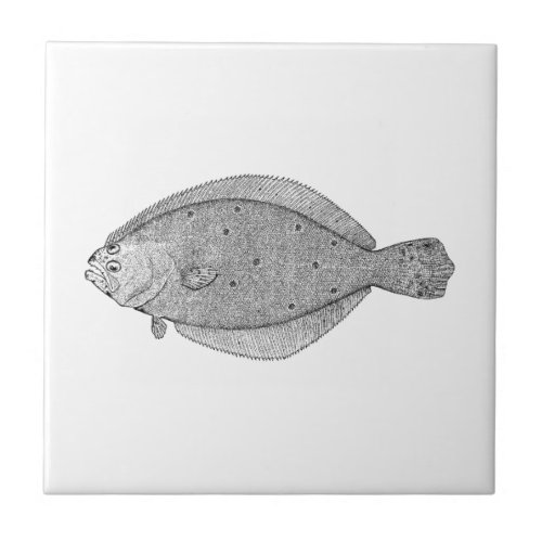 Vintage Saltwater Fish Summer Flounder Ceramic Tile