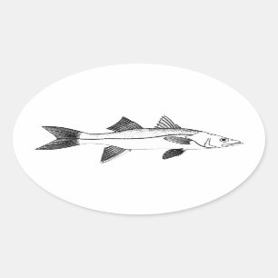 Vintage Saltwater Fishing - Snook Oval Sticker