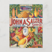 Vintage Salzer Seed Catalog Vegetables