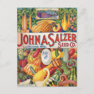 Vintage Salzer Seed Catalog Vegetables Postcard