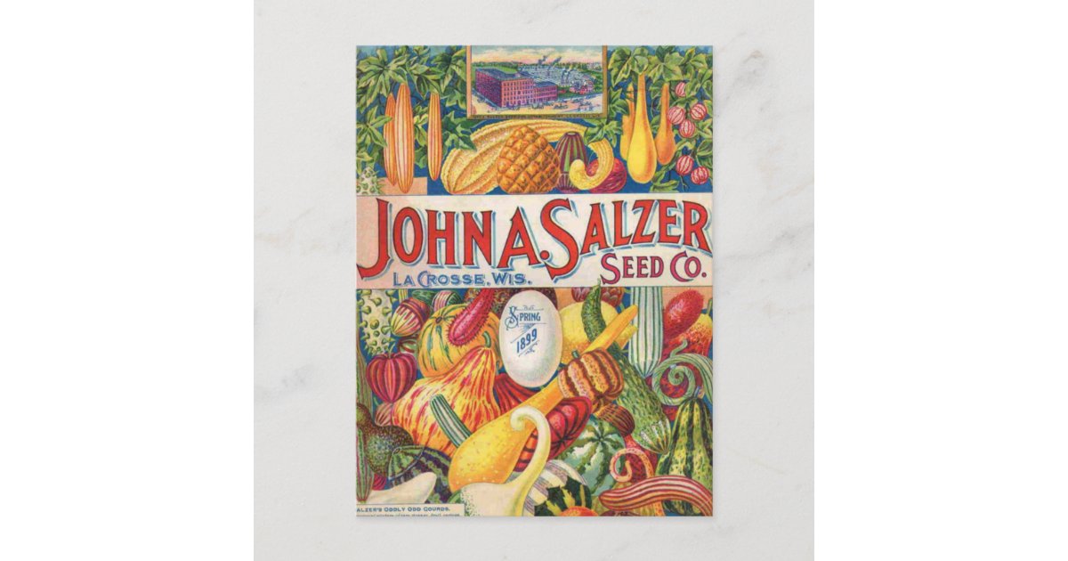 Vintage Salzer Seed Catalog Vegetables Postcard Zazzle