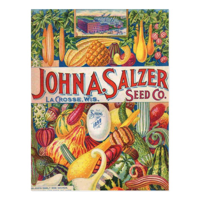 Vintage Salzer Seed Catalog Vegetables Postcard
