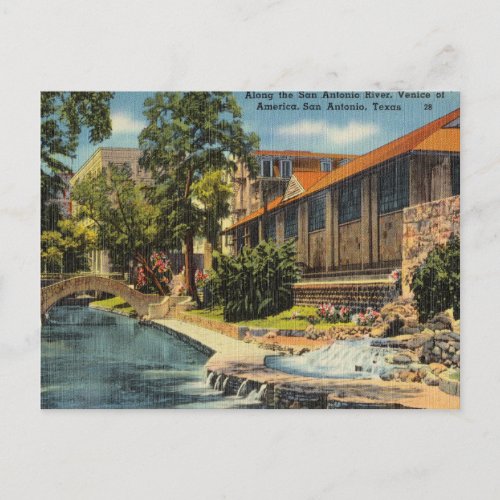 Vintage San Antonio Texas Postcard