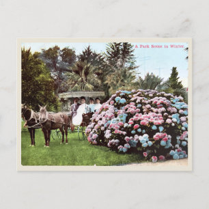 Vintage San Diego Postcard, Victorian Era Postcard