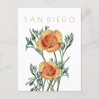 Vintage San Diego state flower travel midcentury Postcard